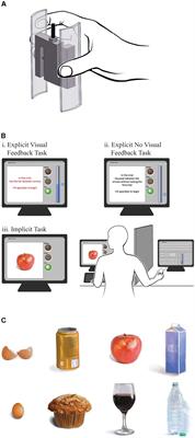 Fitts’ Law in the Control of Isometric Grip Force With Naturalistic Targets